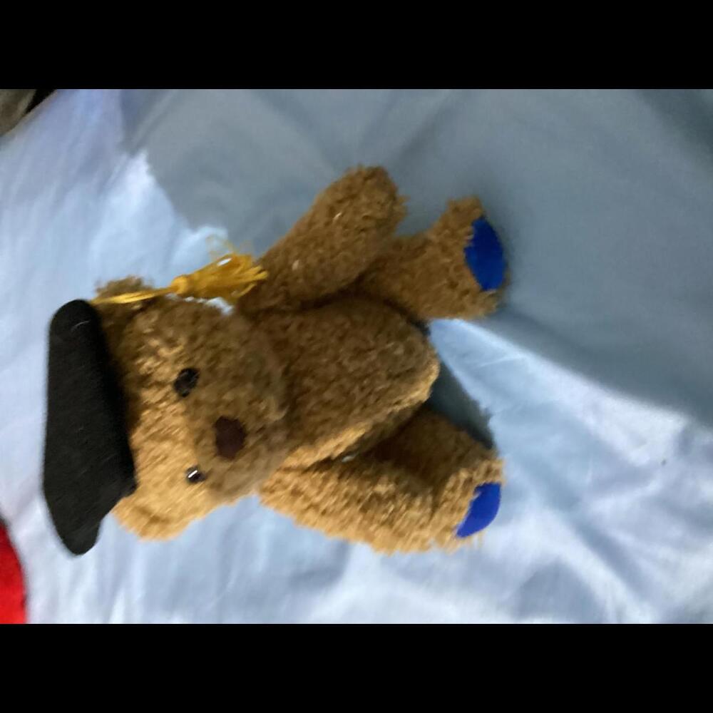 Graduation bears - Picture 4 of 4